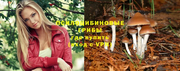 прущие крисы Козельск