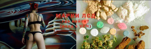 трава Козловка